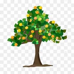 水果树简笔画图片大全 水果树简笔画图片带颜色