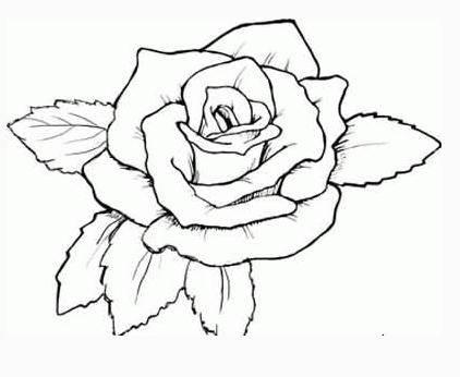 玫瑰花的简笔画 玫瑰花的简笔画一朵