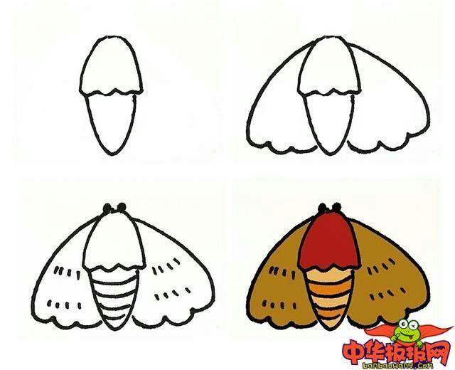 昆虫带颜色怎么画 昆虫带颜色简笔画步骤图