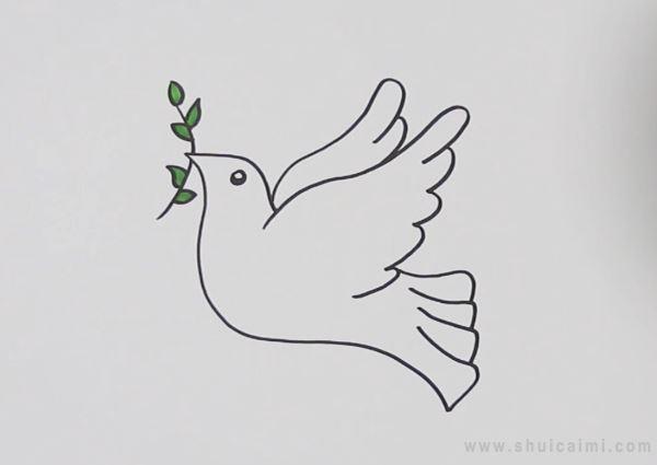 和平鸽简笔画怎么画 和平鸽简笔画好看