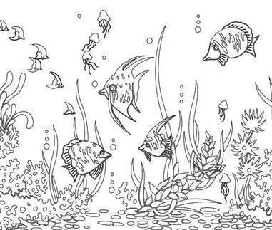 海洋简笔画 海洋简笔画图片带颜色