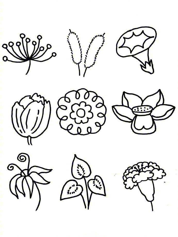 植物图片简笔画 本草纲目植物图片简笔画