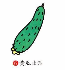 黄瓜简笔画 黄瓜简笔画怎么画