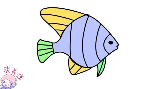 海底小动物简笔画 海底小动物简笔画图片