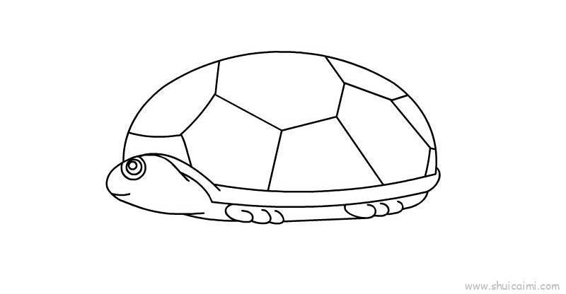 乌龟儿童画怎么画 乌龟简笔画图片大全