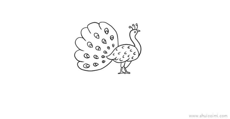 孔雀儿童画怎么画 孔雀简笔画顺序