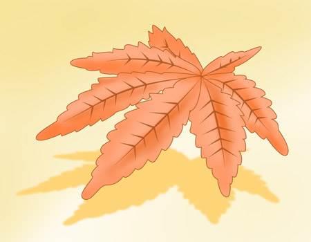 秋天的叶子简笔画 秋天的叶子简笔画图片