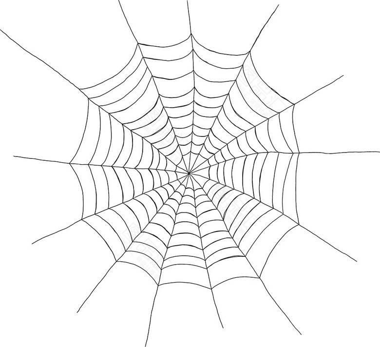 蜘蛛网简笔画 蜘蛛网简笔画图片大全