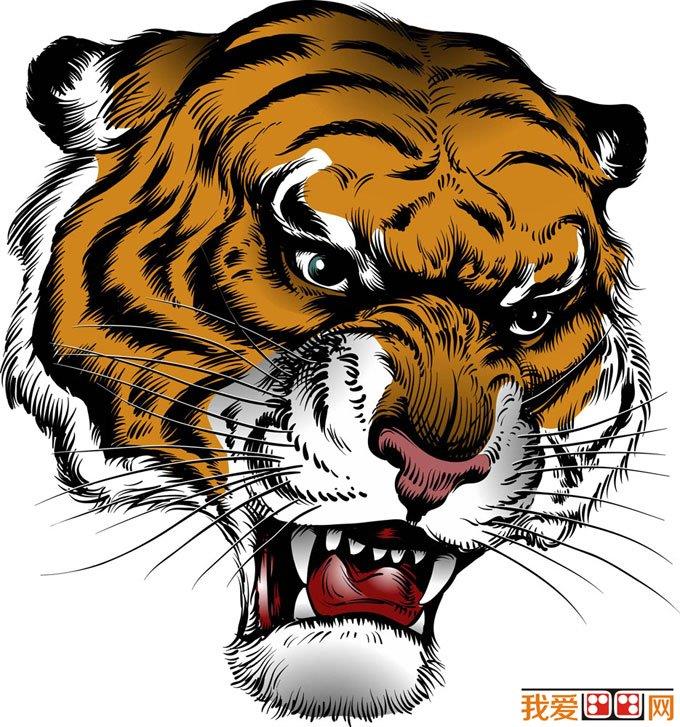 老虎头 一个很牛B的虎头卡通图片简笔画怎么画 老虎头 一个很牛B的虎头卡通图片简笔画简单又好看