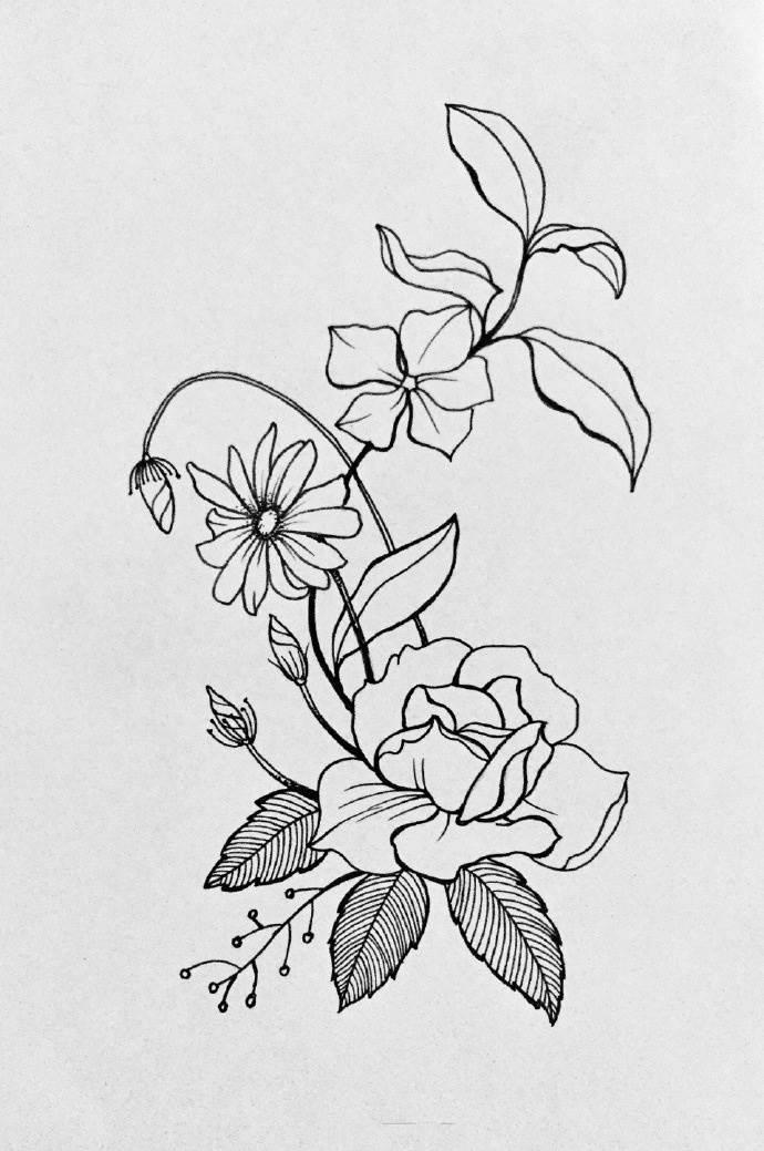 花卉简笔画 花卉简笔画图片大全