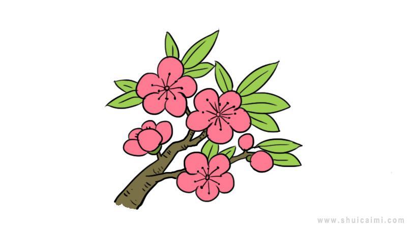 桃花简笔画怎么画 桃花简笔画简单又好看