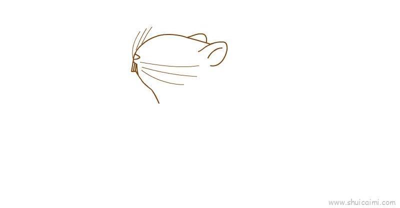 竹鼠儿童画怎么画 竹鼠简笔画图片大全