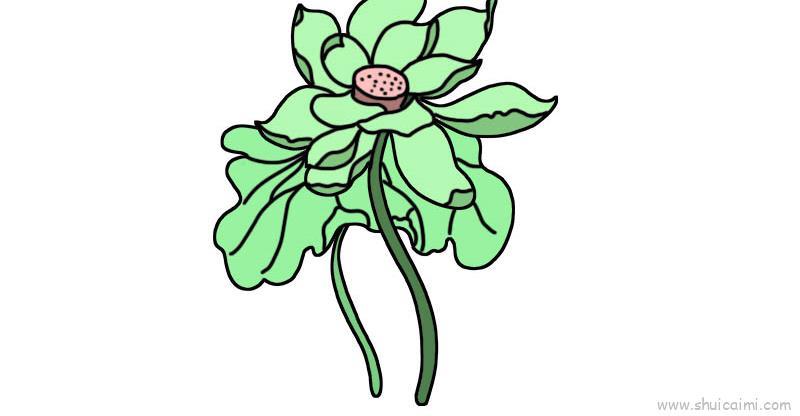 荷花儿童画怎么画 荷花简笔画画法