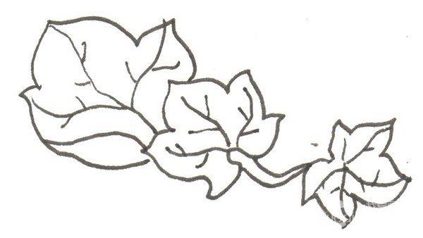 南瓜的简笔画怎么画 南瓜的简笔画顺序