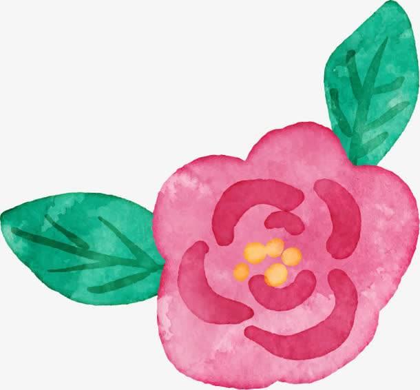 山茶花简笔画图片大全 山茶花简笔画图片大全彩色