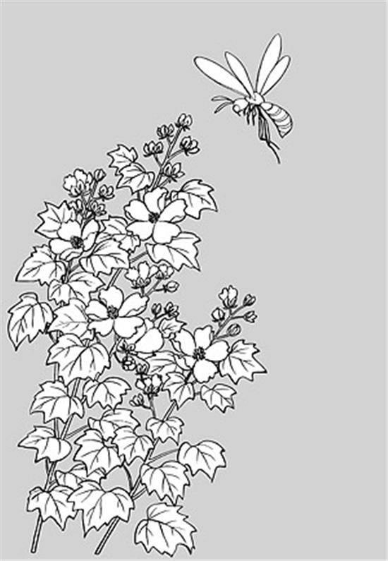 花丛简笔画 花丛简笔画彩色