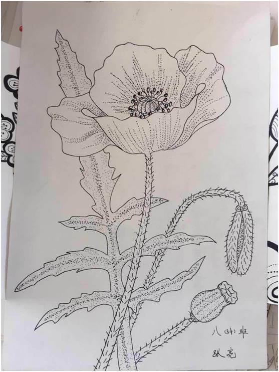 初中简笔画简单漂亮 初中简笔画简单漂亮图片大全