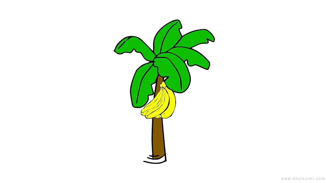 香蕉树简笔画怎么画 香蕉树简笔画顺序