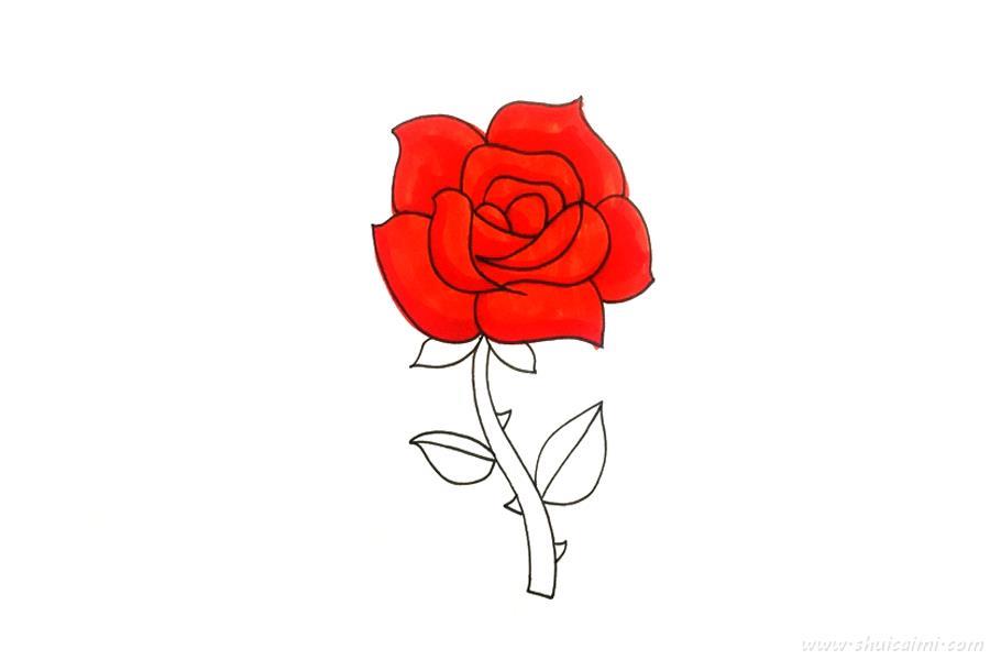 玫瑰花怎么画 玫瑰花简笔画图片带颜色