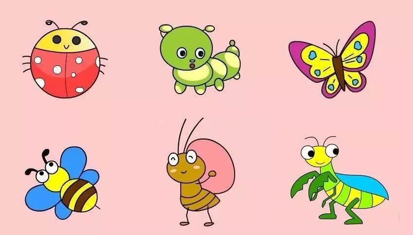 虫简笔画图片大全 甲壳虫简笔画图片大全