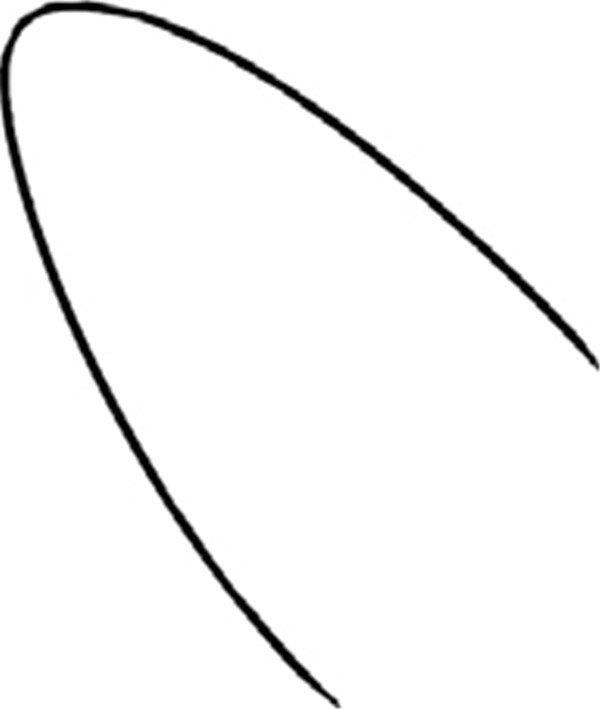 香甜的玉米简笔画怎么画 香甜的玉米简笔画画法