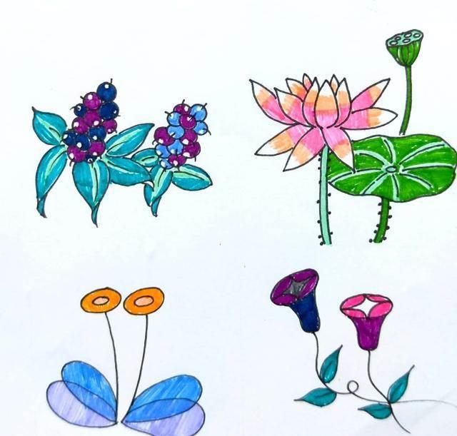 简笔画图片大全花草类 简笔画图片大全花草类有颜色