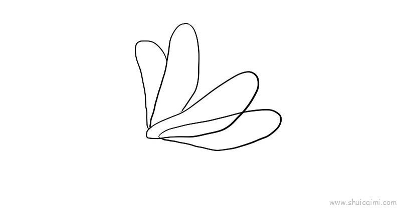 蜻蜓的翅膀怎么画？（蜻蜓翅膀简笔画教程）