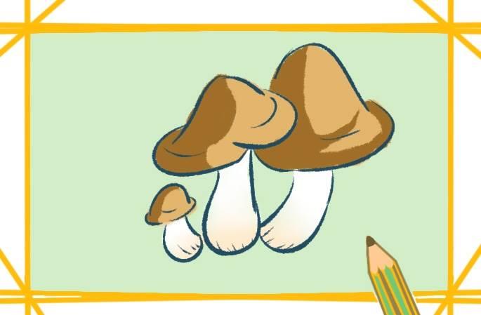 香菇简笔画 香菇简笔画彩色