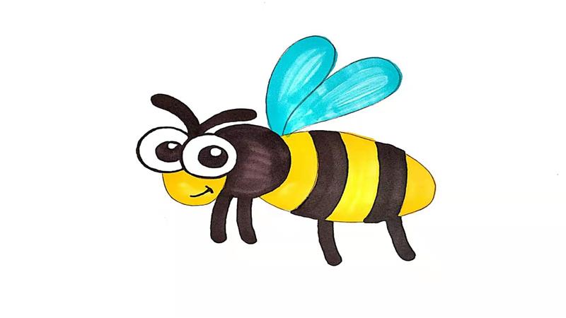 大黄蜂简笔画怎么画 大黄蜂简笔画图片大全
