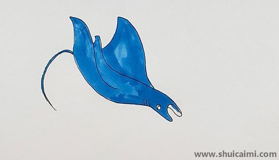 魔鬼鱼儿童画怎么画 彩色魔鬼鱼简笔画图片简单