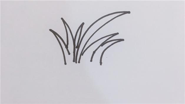 水稻简笔画怎么画 水稻简笔画图片大全