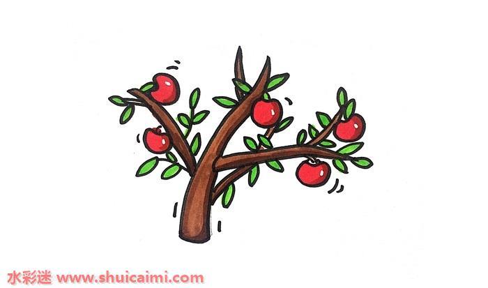 苹果树怎么画 苹果树简笔画步骤图