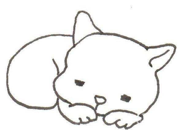 树洞里的猫咪的简笔画怎么画 树洞里的猫咪的简笔画顺序