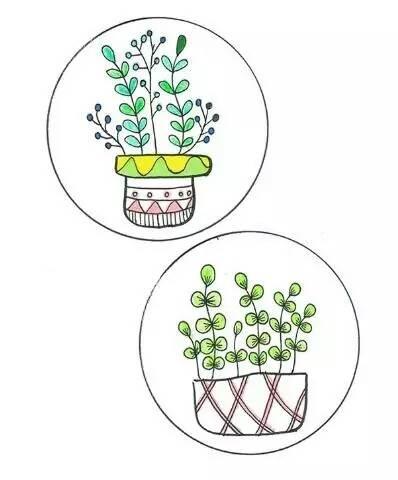 盆栽简笔画图片大全 盆栽简笔画图片大全多肉植物
