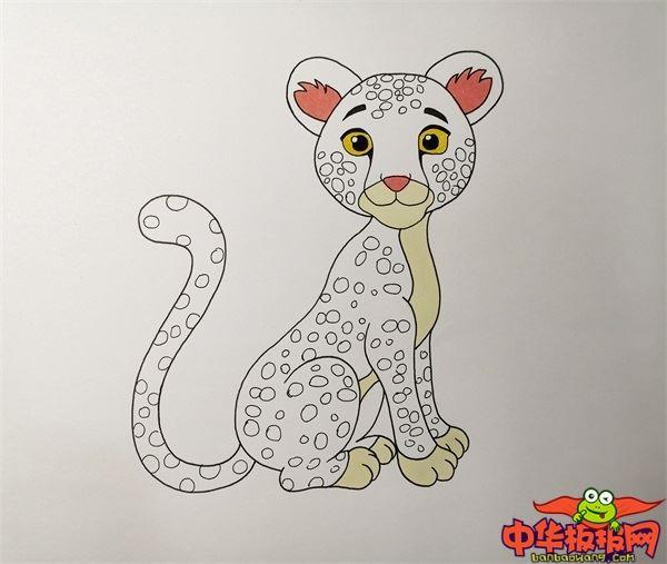 豹子怎么画 豹子简笔画图片带颜色