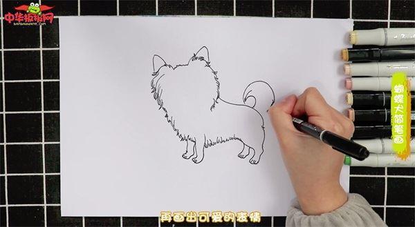 蝴蝶犬怎么画 蝴蝶犬简笔画图片带颜色