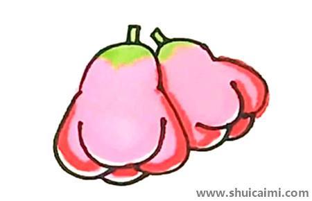 莲雾及涂色儿童简笔画