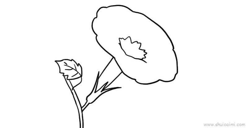 蓝色牵牛花儿童画怎么画 蓝色牵牛花简笔画好看