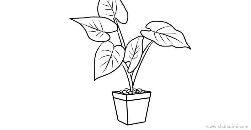 滴水观音儿童画怎么画 滴水观音简笔画简单又好看