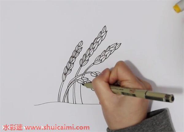 丰收de稻谷怎么画 丰收的稻谷简笔画简单又漂亮彩色