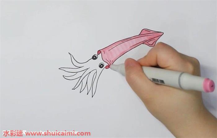 乌贼怎么画 乌贼简笔画简单易画彩色
