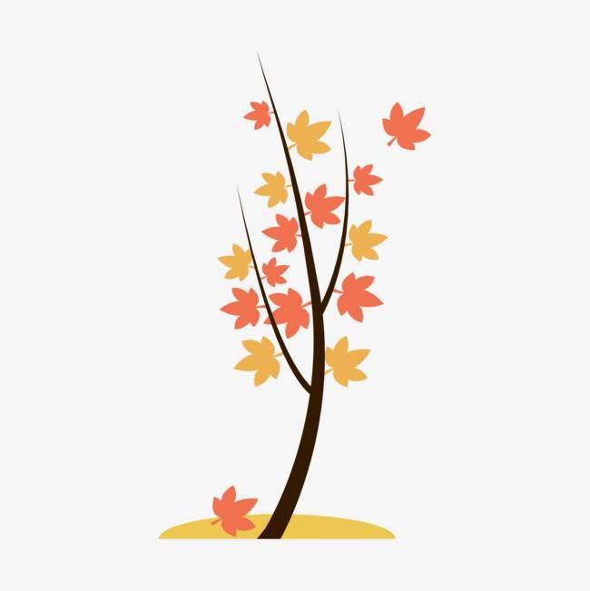 枫叶简笔画 枫叶简笔画图片大全