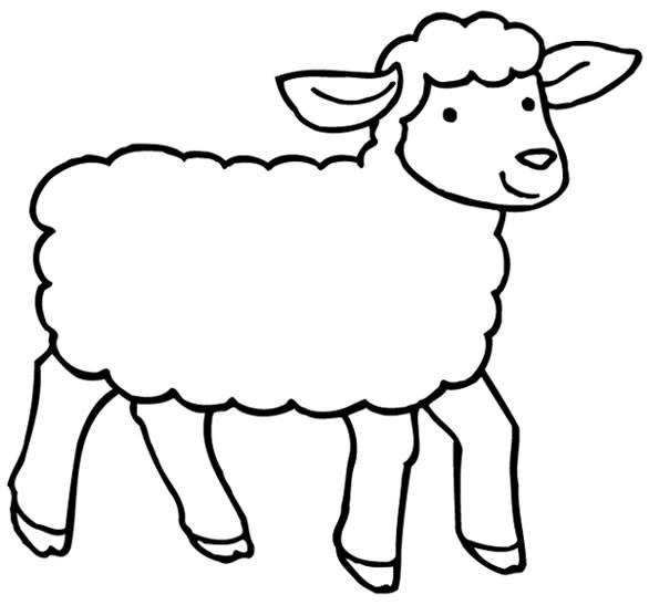 小羊简笔画图片大全 小羊简笔画图片大全彩色