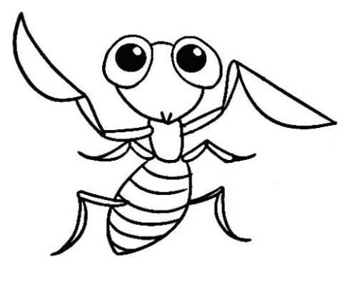 螳螂简笔画 螳螂简笔画简单