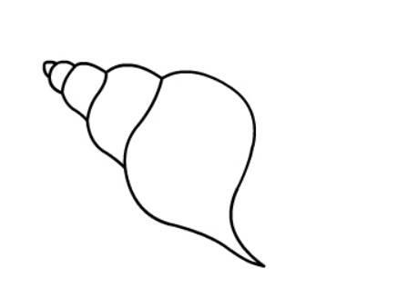 贝壳简笔画 贝壳简笔画儿童画