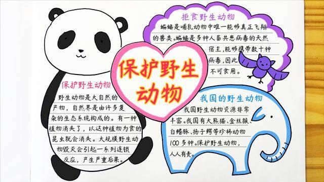 世界动物保护日手抄报 世界保护动物怎么画