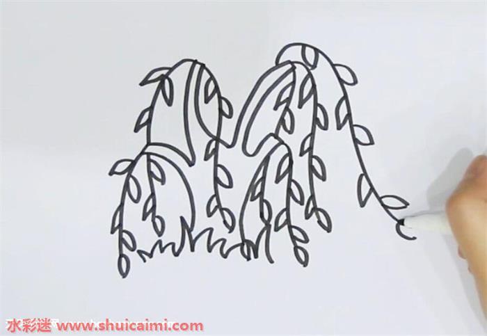 河边垂柳怎么画 河边垂柳简笔画步骤图