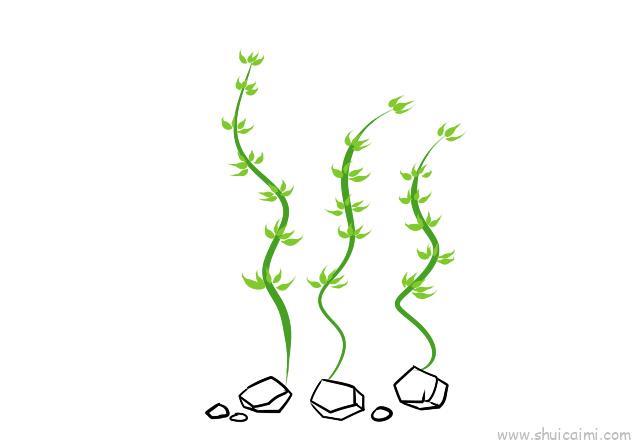 水草儿童画怎么画 水草简笔画简单又好看