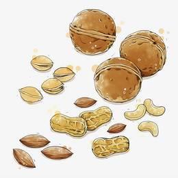 坚果简笔画 植物大战僵尸里面的坚果简笔画