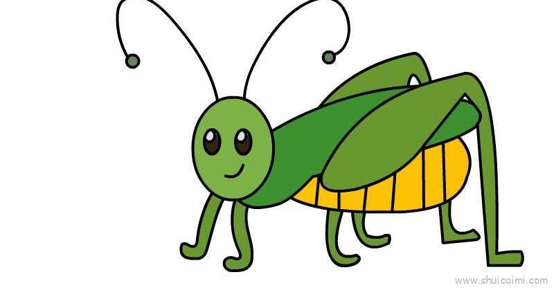 蚂蚱儿童画怎么画 蚂蚱简笔画简单